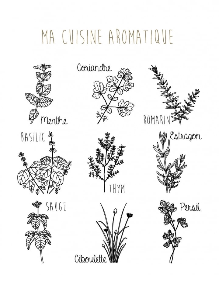 Affiche en papier - Ma cuisine aromatique